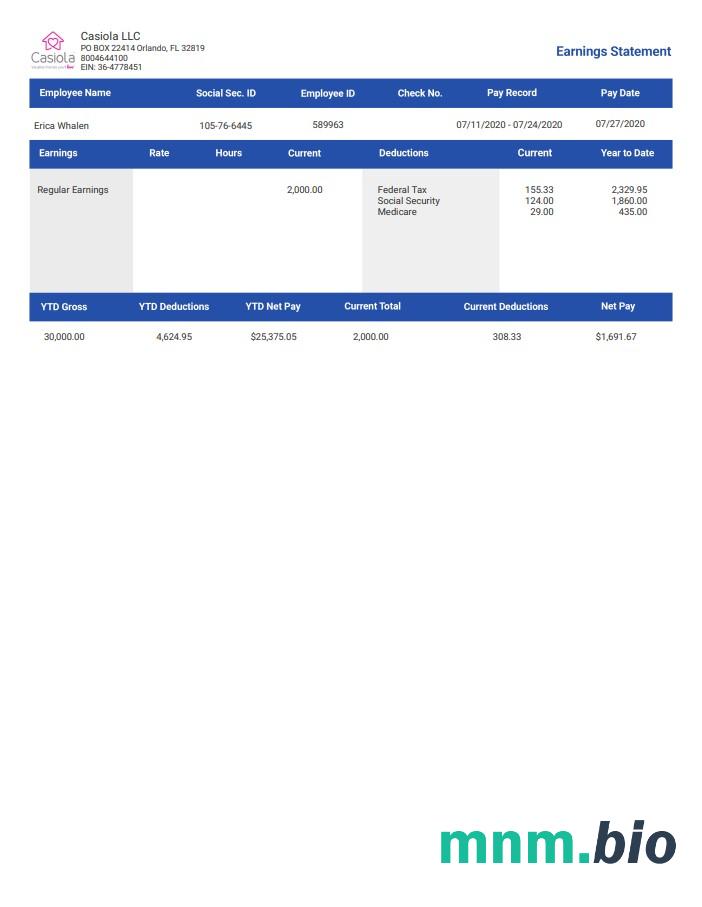 Casiola LLC zarobki pracownik Paystub szablon w formacie Word i PDF
